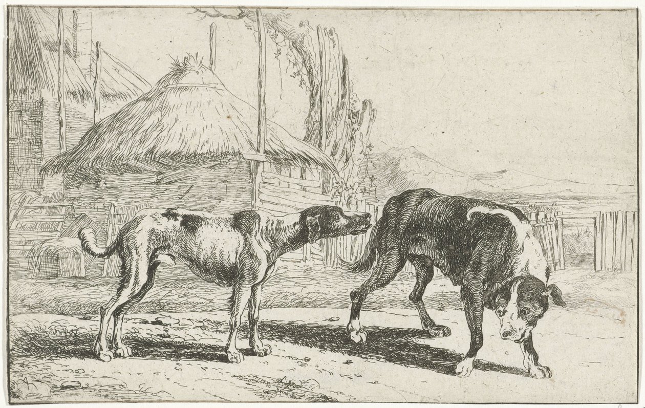 Mies ja nainen Eläimet (sarjan nimi) Zoographiam (sarjan nimi) tekijältä Jan van den Hecke