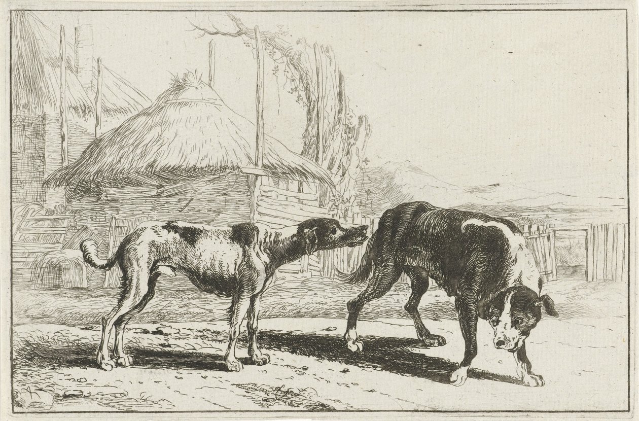 Mies ja nainen Eläimet (sarjan nimi) Zoographiam (sarjan nimi) tekijältä Jan van den Hecke
