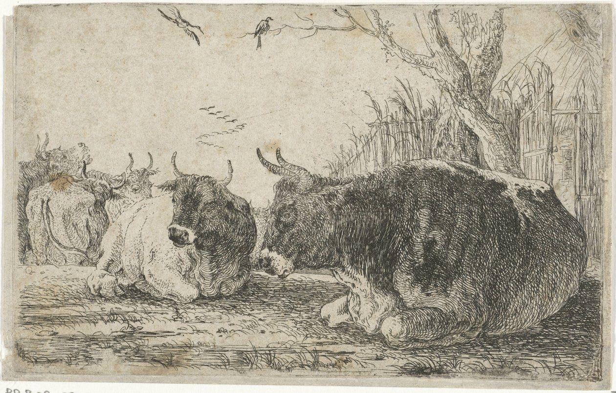 lepäävät lehmät Eläimet (sarjan nimi) Zoographiam (sarjan nimi) tekijältä Jan van den Hecke
