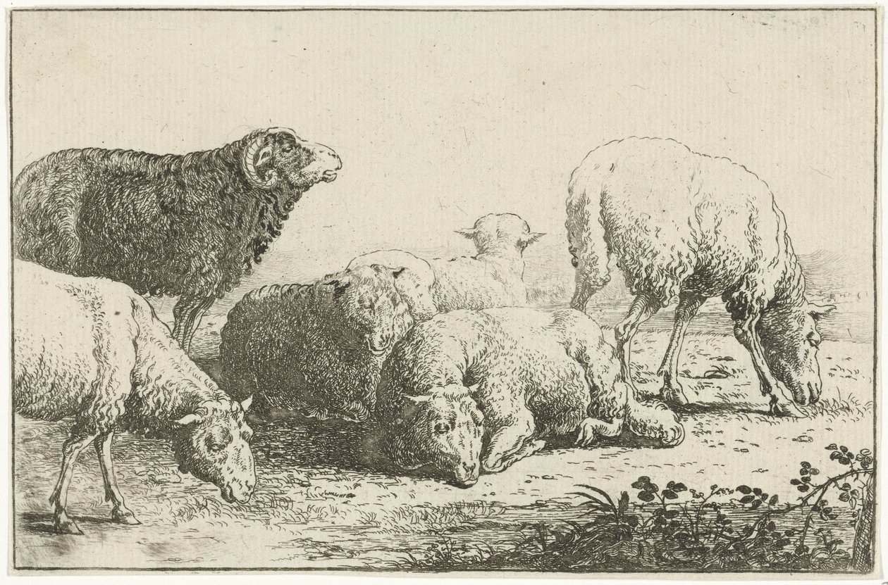 lampaat Eläimet (sarjan nimi) Zoographiam (sarjan nimi) tekijältä Jan van den Hecke