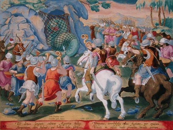 Egyptin käärmeen pyydystäminen verkosta, levy 45 julkaisusta "Venationes Ferarum, Avium, Piscium" (Metsästys: pedot, linnut, kalat), kaiverrettu Jan Collaert (1566-1628), julkaissut Phillipus Gallaeus Amsterdam (käsinvärinen kaiverrus) ) tekijältä Jan van der Straet