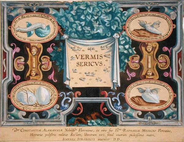 Theodor Gallen (1571-1633) kaivertama "Vermis Sericus" (silkkiäistoukkien) etuosa (kaiverrus) tekijältä Jan van der Straet