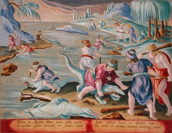 Krokotiilien tappaminen kepeillä ja mailoilla, levy 88 julkaisusta "Venationes Ferarum, Avium, Piscium" (Metsästys: Wild Beasts, Birds, Fish), kaivertanut Jan Collaert (1566-1628), julkaissut Phillipus Gallaeus of Amsterdam (käsinvärinen kaiverrus) tekijältä Jan van der (1523 1605) (after) Straet