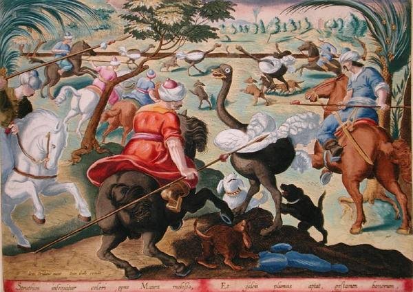 Moors on Horsebackin metsästys strutseja, levy 62 julkaisusta "Venationes Ferarum, Avium, Piscium" (Metsästys: Wild Beasts, Birds, Fish), kaiverrettu Jan Collaert (1566-1628), julkaissut Phillipus Gallaeus of Amsterdam (käsinvärinen kaiverrus) tekijältä Jan van der Straet
