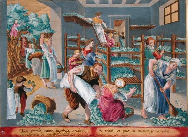 Naiset vuoraavat hyllyt Mulberry-lehdillä silkkiäistoukille, levy 5 kirjasta "Vermis Sericus" (Silkkiäistoukka) kaiverrettu Philip Galle (1537-1612) (kaiverrus) tekijältä Jan van der Straet
