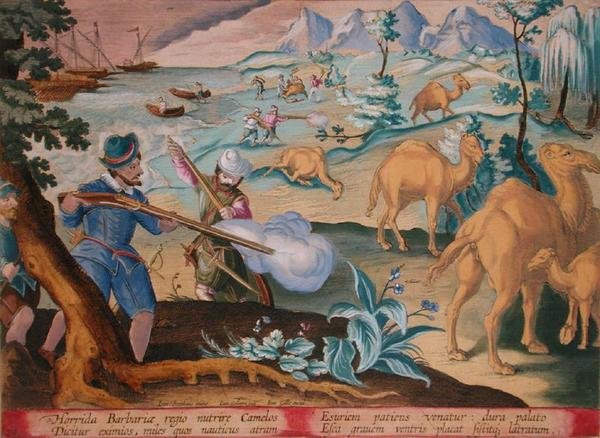 Merimiehet hirveässä barbaarimaassa tappavat kameleja musketeilla lievittääkseen nälkäänsä, levy 28 "Venationes Ferarum, Avium, Piscium" (Metsästys: Villieläimiä, lintuja, kaloja), kaiverrettu Jan Collaert (1566-1628), julkaisija Phillipus Gallaeus Amsterd tekijältä Jan van der (1523 1605) (after) Straet