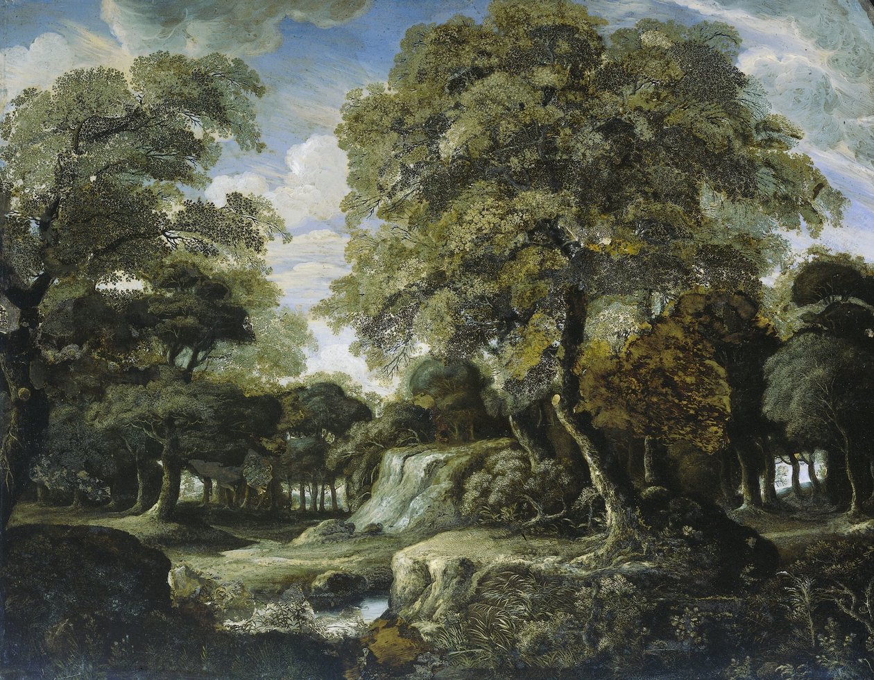 Näkymä metsässä tekijältä Jan van der Heyden