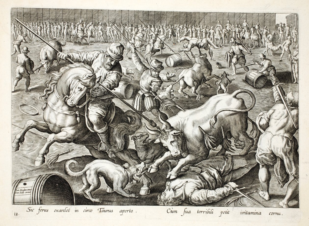 Joukkohärkätaistelu aitauksessa, kuvitus teoksesta "Venationes, Ferarum, Avium, Piscium" (Metsästys: Wild Beasts, Birds, Fish), kaiverrettu Jan Collaert (1566-1628), pub. kirjoittanut Phillipus Gallaeus, Amst tekijältä Jan van der Straet
