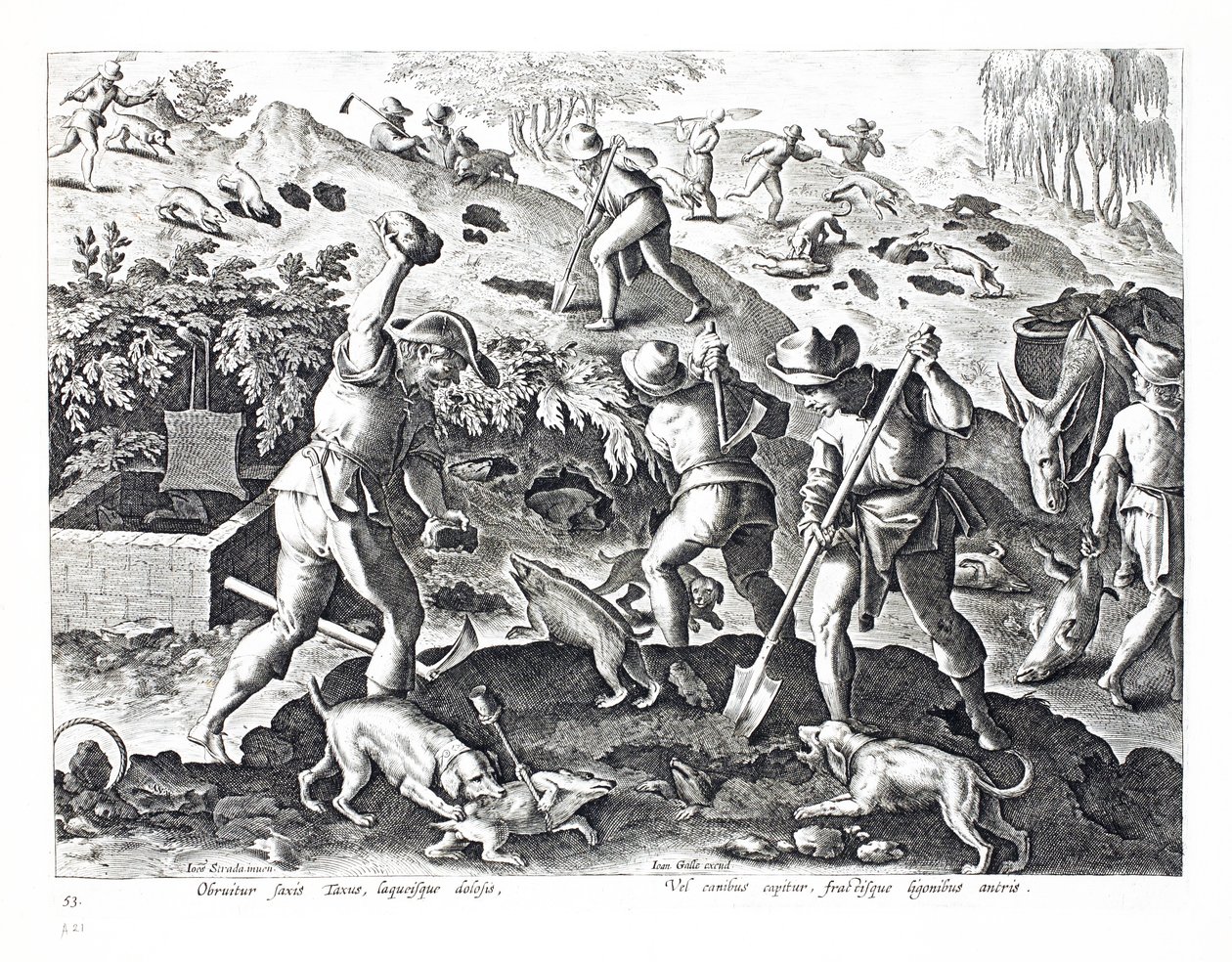 Mäyräkoirien kaivaminen ja pyydystäminen, kuvitus teoksesta "Venationes, Ferarum, Avium, Piscium" (Metsästyksestä: villieläimet, linnut, kalat), kaiverrettu Jan Collaertin (1566-1628) toimesta, julkaisija Phillipus Gallaeus, Ams. tekijältä Jan van der Straet