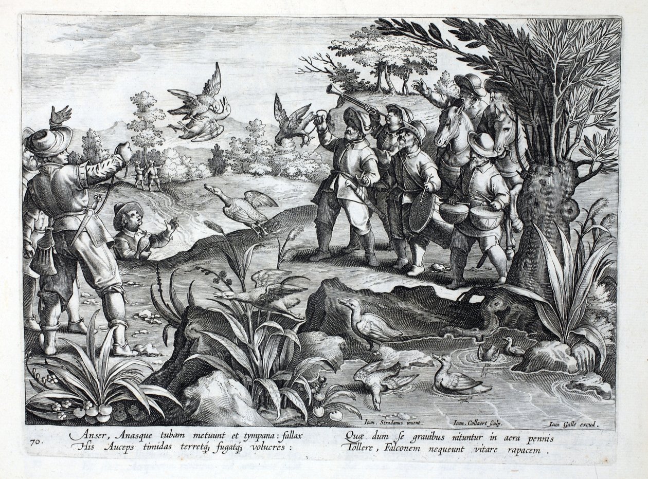 Metsästäjät käyttävät haukkoja hanhien metsästykseen, kuva teoksesta "Venationes, Ferarum, Avium, Piscium" (Metsästyksestä: villieläimet, linnut, kalat), kaiverrettu Jan Collaertin (1566-1628) toimesta, julkaissut Phillipus Gallaeus, A. Gallaeus. tekijältä Jan van der Straet