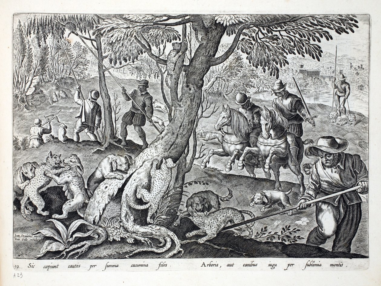 Metsästyskissat koirien kanssa, kuvitus teoksesta "Venationes, Ferarum, Avium, Piscium" (Metsästys: Wild Beasts, Birds, Fish), kaiverrettu Jan Collaert (1566-1628), pub. kirjoittanut Phillipus Gallaeus, Amsterdam (eng tekijältä Jan van der Straet