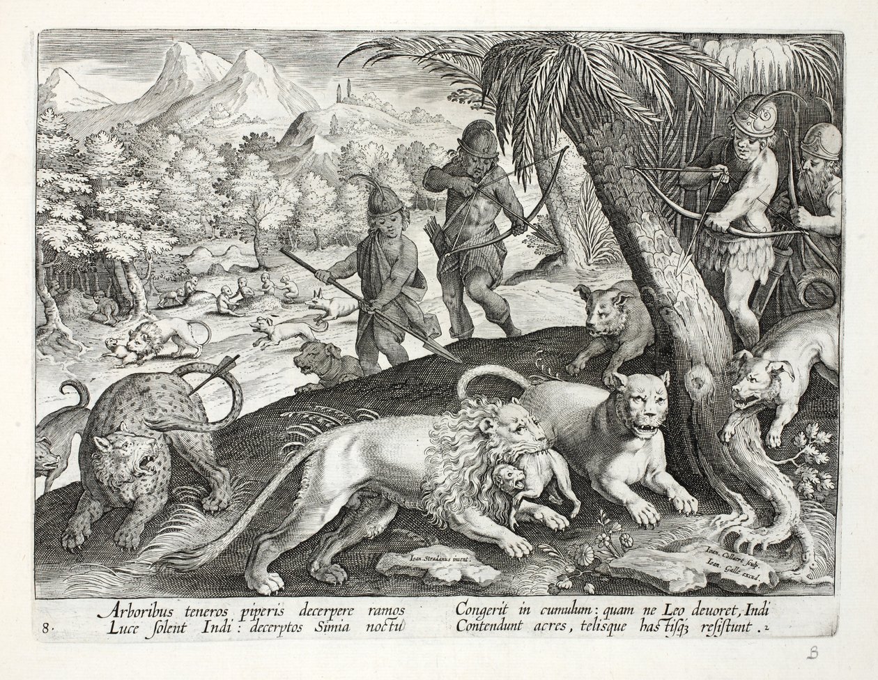Intiaanit ampuvat nuolilla leijonia, jotka ovat vangiksineet apinoita suuhunsa, kuvitus teoksesta "Venationes, Ferarum, Avium, Piscium" (Metsästys: Wild Beasts, Birds, Fish), kaiverrettu Jan Collaert (15) tekijältä Jan van der Straet