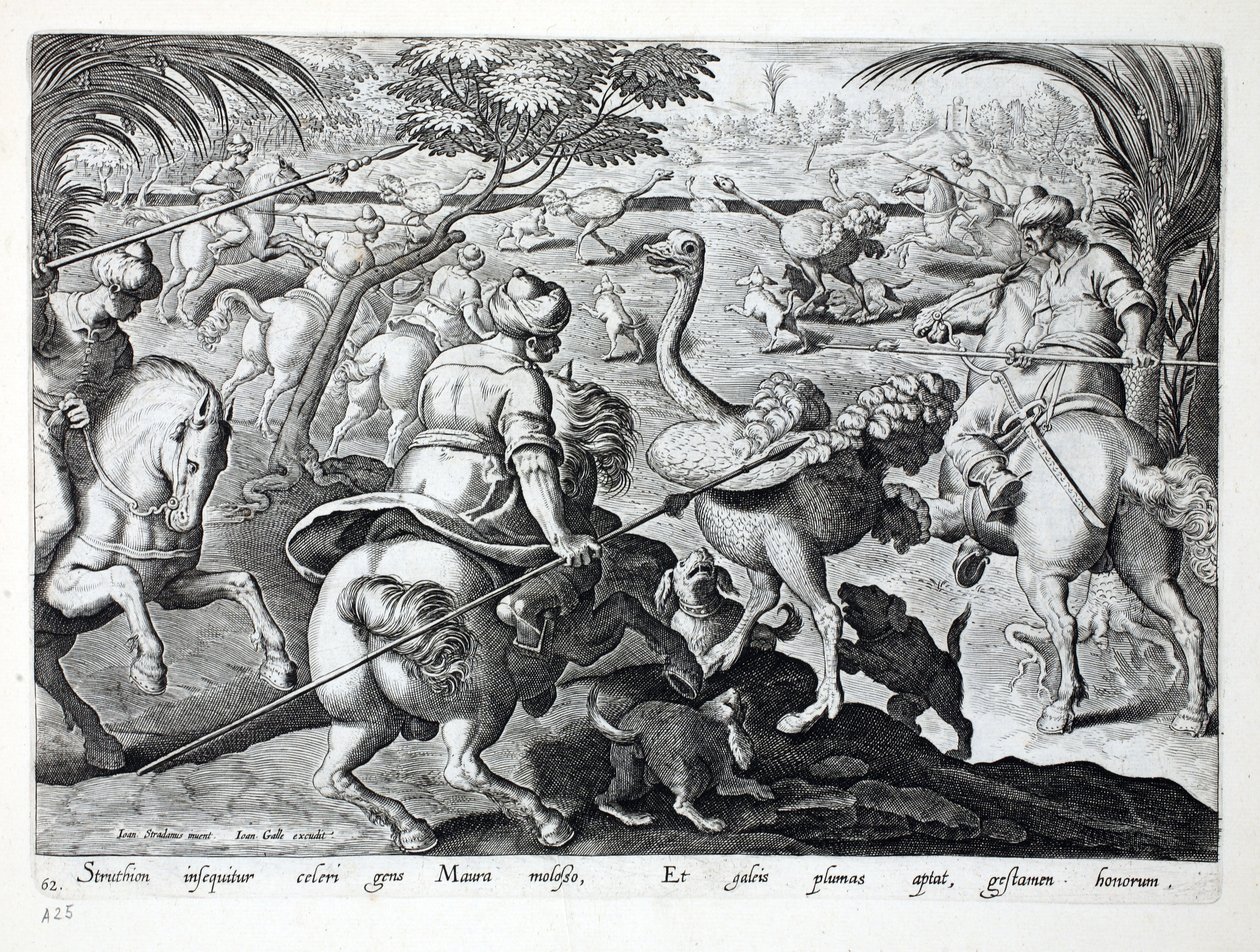 Moors on Horseback Metsästys strutseja, levy 62, kuva julkaisusta "Venationes, Ferarum, Avium, Piscium" (Metsästys: Wild Beasts, Birds, Fish), kaiverrus Jan Collaert (1566-1628), pub. kirjoittanut Phillipus tekijältä Jan van der Straet