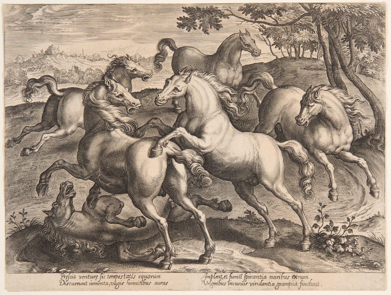 Fighting Horses, "Equile Joannis Austriacin" neljännestä sarjasta tekijältä Jan van der Straet, called Stradanus