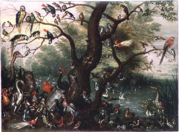 Lintujen konsertti (öljy kuparille) tekijältä Jan van the Elder Kessel