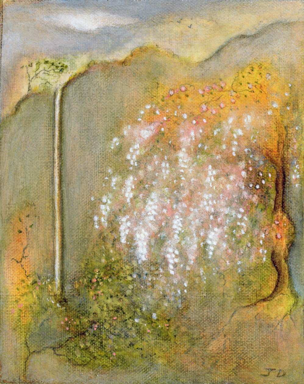 White Wisteria, 2001 tekijältä Jane Deakin