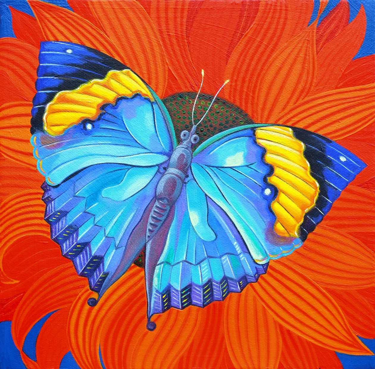 Indian Leaf Butterfly, 2014, tekijältä Jane Tattersfield