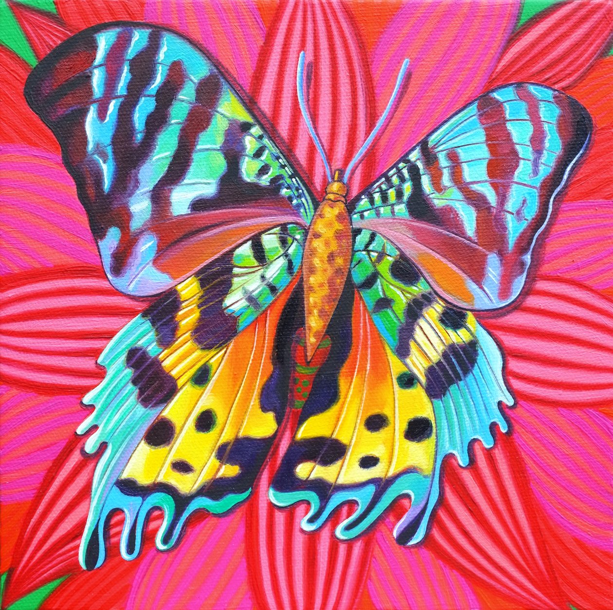 Sunset Moth, 2014, tekijältä Jane Tattersfield