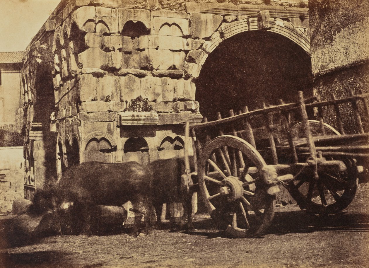 Buffalo Cart, Rooma tekijältä Jane Martha St. John