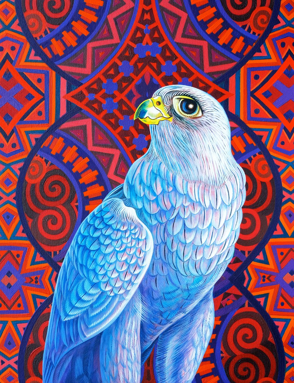 Harmaahaukka, 2017, tekijältä Jane Tattersfield