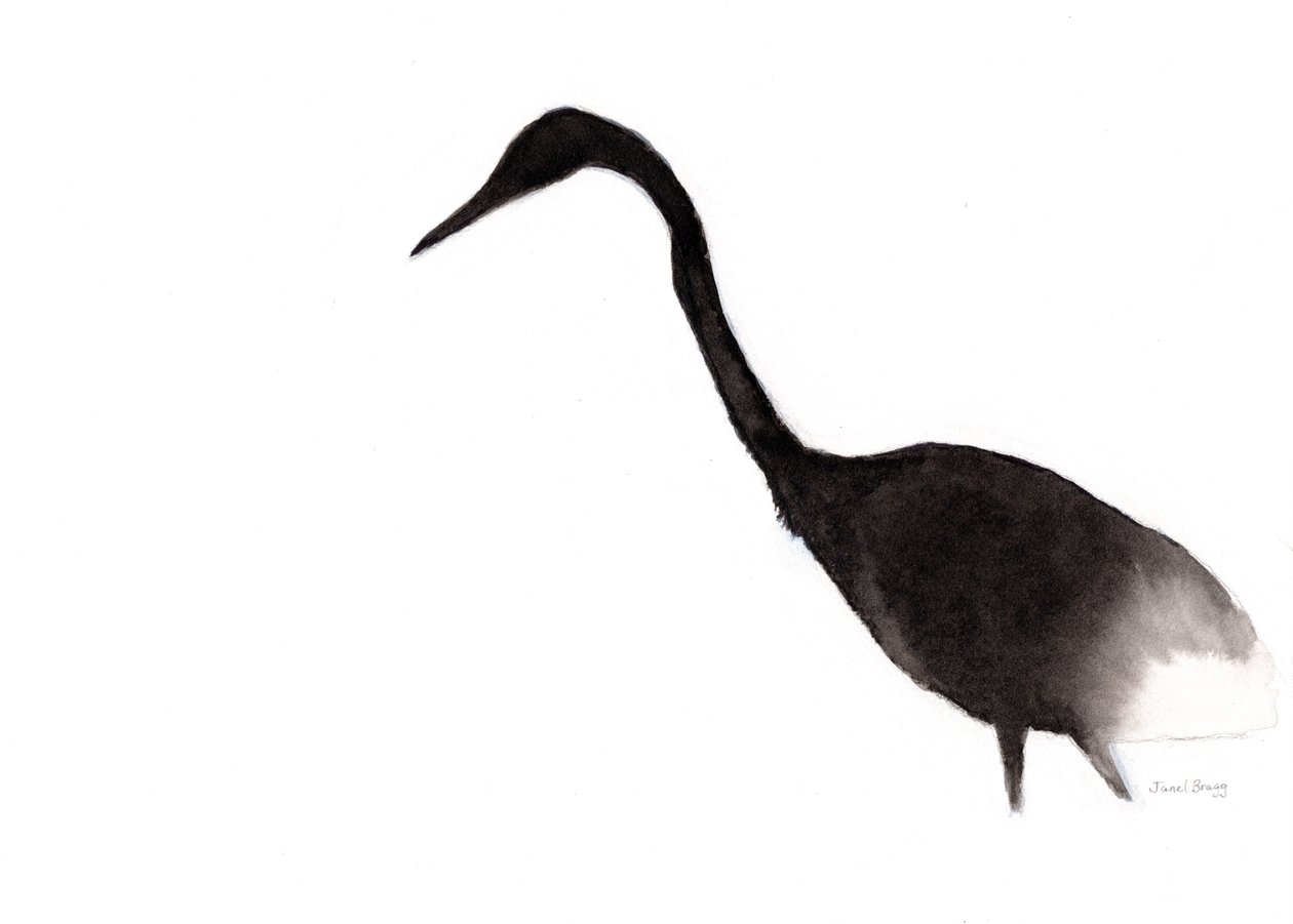 Haikara tussilla, n.2020 (muste paperille) tekijältä Janel Bragg