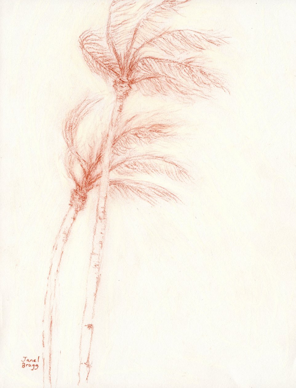 Olipa kerran trooppinen loma Palmut, n.2019 (lyijykynä paperille) tekijältä Janel Bragg