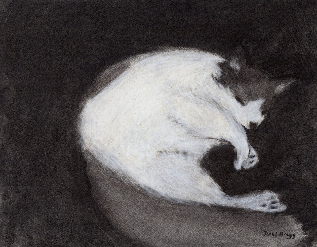 Thomas päiväunilla, n. 2018 (hiiltä ja pastellia paperille). tekijältä Janel Bragg