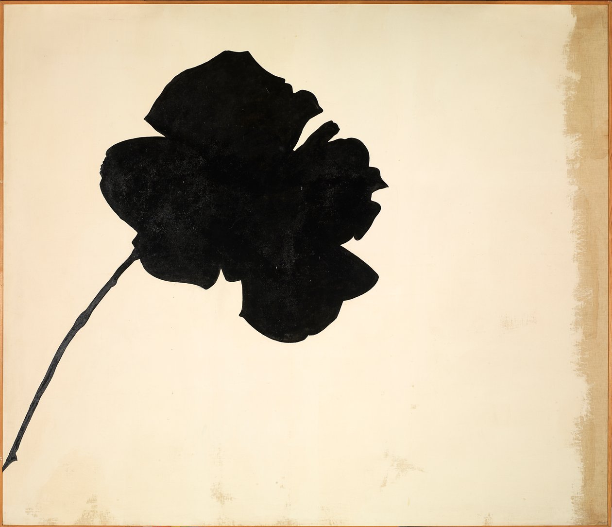 Nimetön - Musta ruusu (Senza titolo - Rosa nera), Jannis Kounellis tekijältä Jannis Kounellis