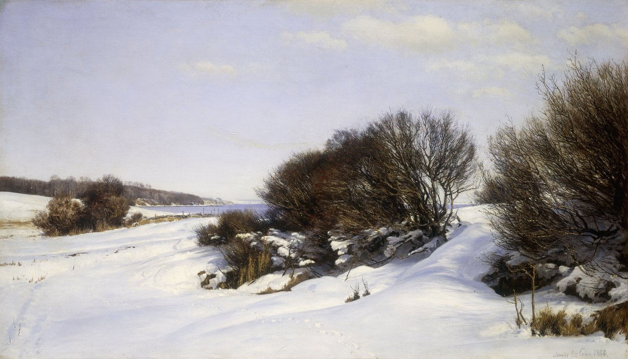 Talvi lähellä merta, 1888 tekijältä Janus La Cour