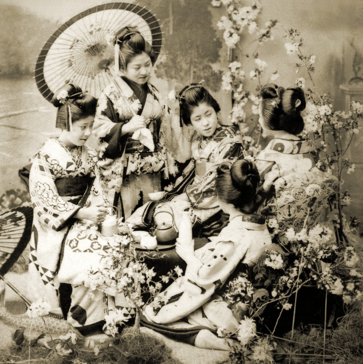 Kirsikankukkien joukossa, n. 1900 (albumikuva) tekijältä Japanese Photographer