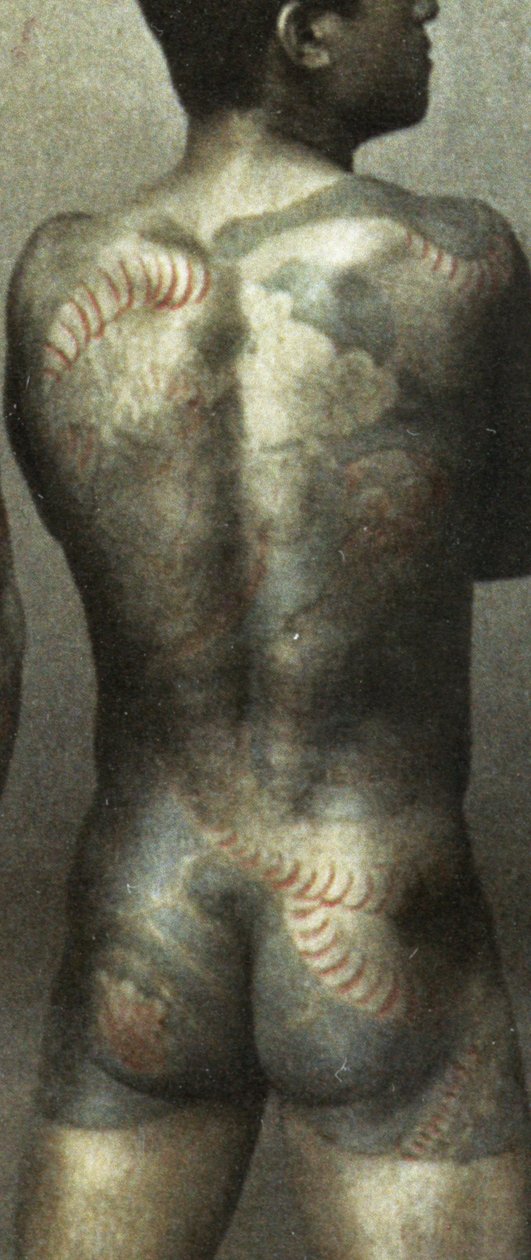 Mies, jolla on perinteinen japanilainen Irezumi-tatuointi, n. 1880 (käsinvärinen albumikuva) (398092:n yksityiskohta) tekijältä Japanese Photographer
