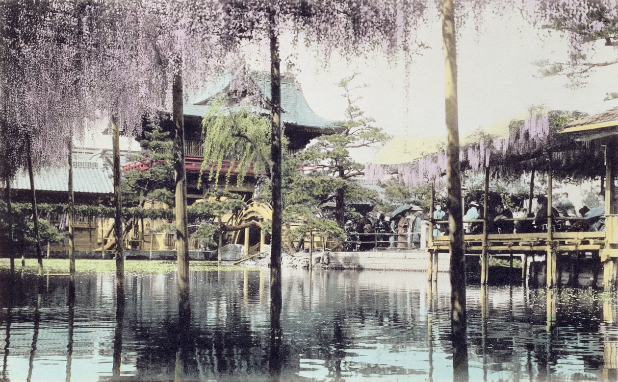 Wisteria kukkii lammen yllä Kameido Temple Gardensissa Tokiossa, 1800-luvun lopulla (käsin väritetty valokuva) (katso myös 172943) tekijältä Japanese Photographer