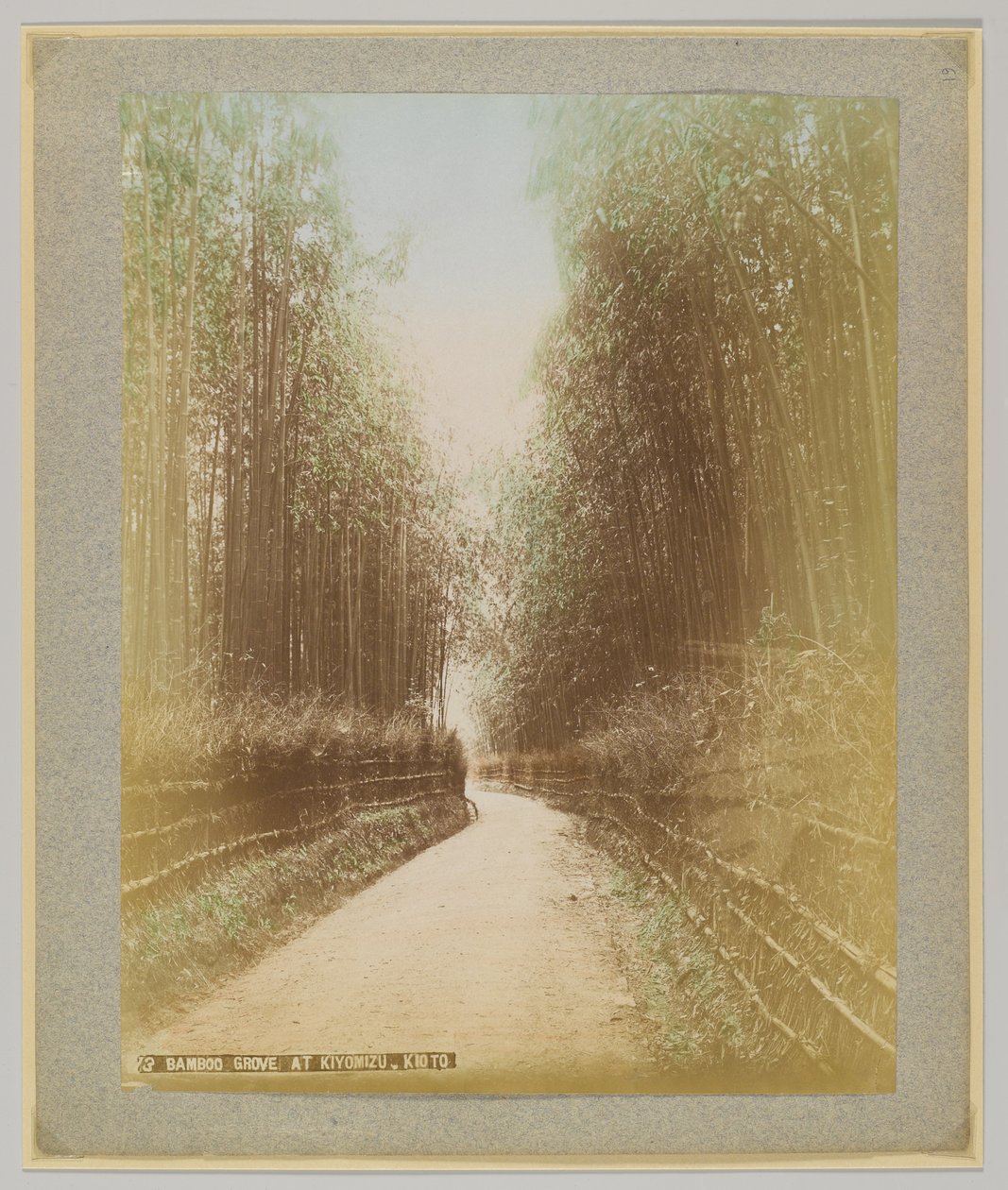 Bamboo Grove Kiyomizussa, Kiotossa, Japanissa (käsinvärinen mustavalkokuva) tekijältä Japanese Photographer