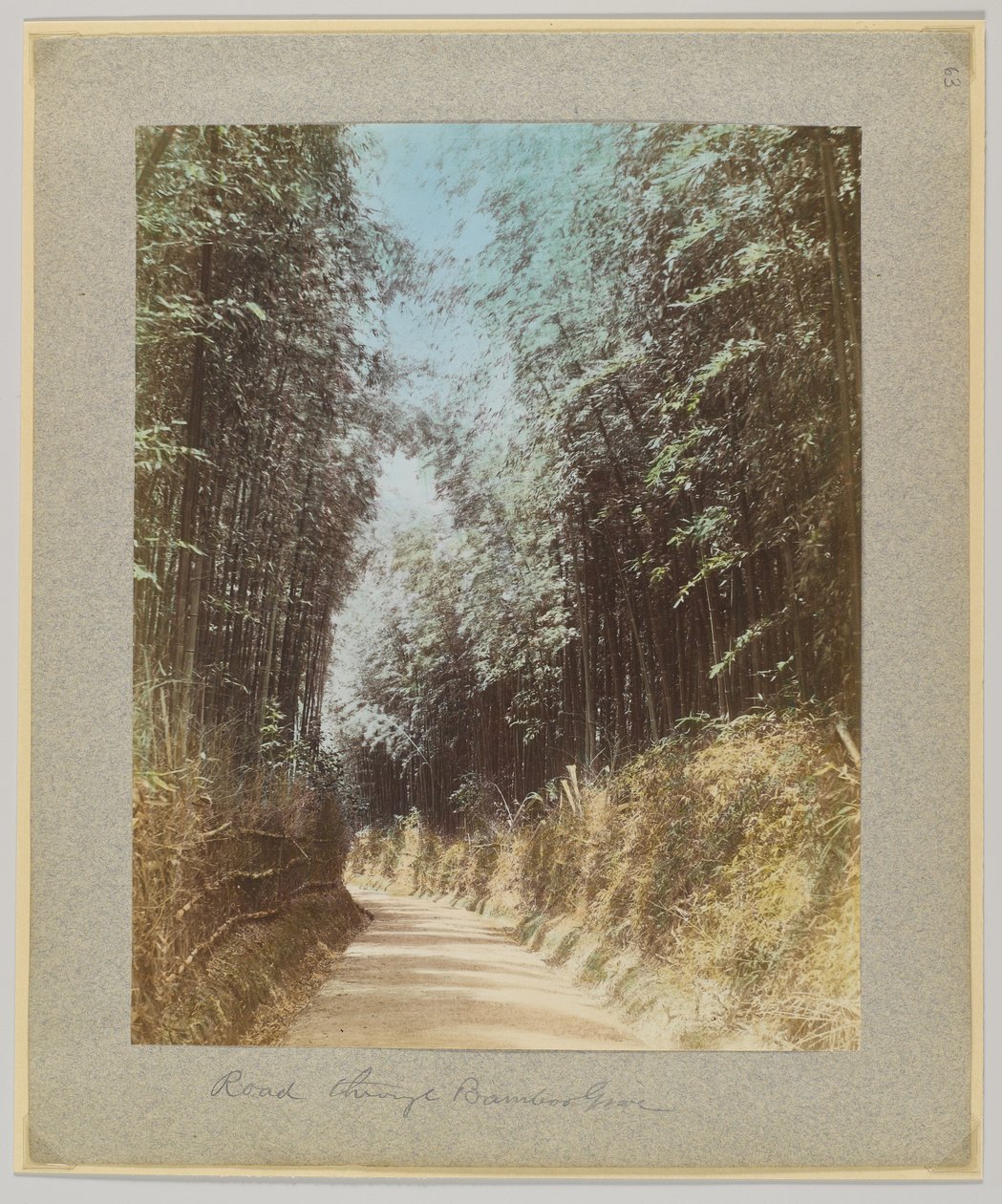 Tie bambulehdon läpi, Japani (käsinvärinen mustavalkokuva) tekijältä Japanese Photographer