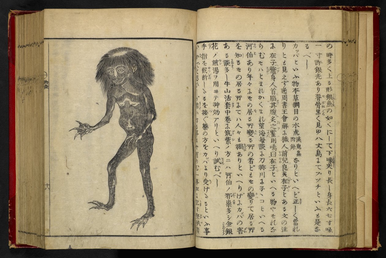 16084.d.15, f.24 A Neneko Kappa, Akamatsu Sōtanin teoksesta Tonegawa Zushi, julkaisu 1855 (puupiirros) tekijältä Japanese School