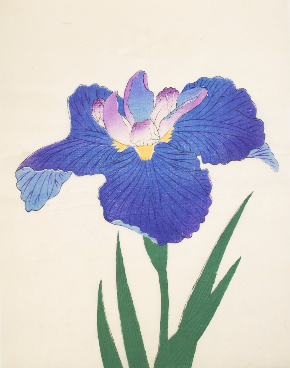 Sininen E tyyppi. 30, 1898 tekijältä Japanese School