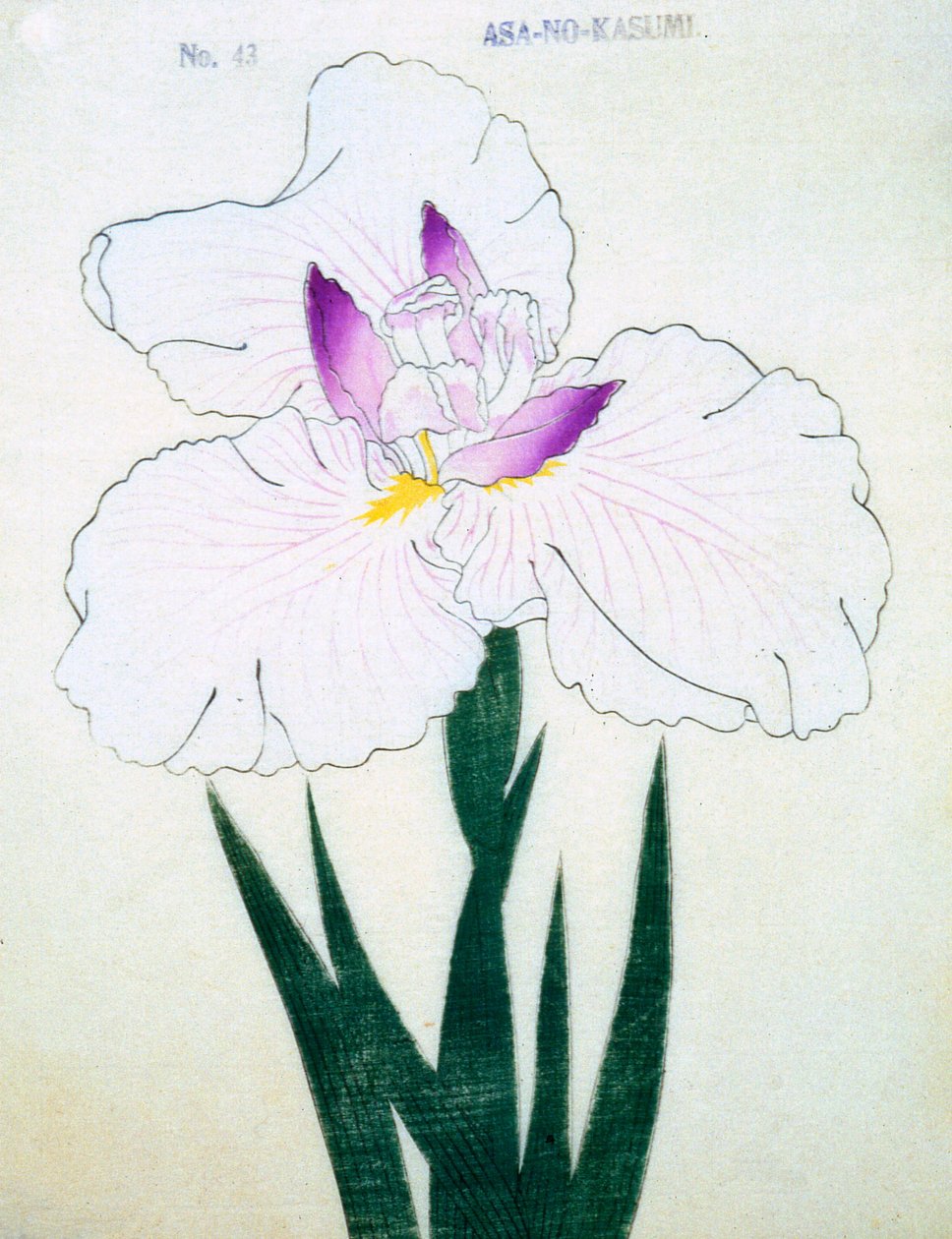 Matala. -Kasumi Arimura. 43, 1898 tekijältä Japanese School