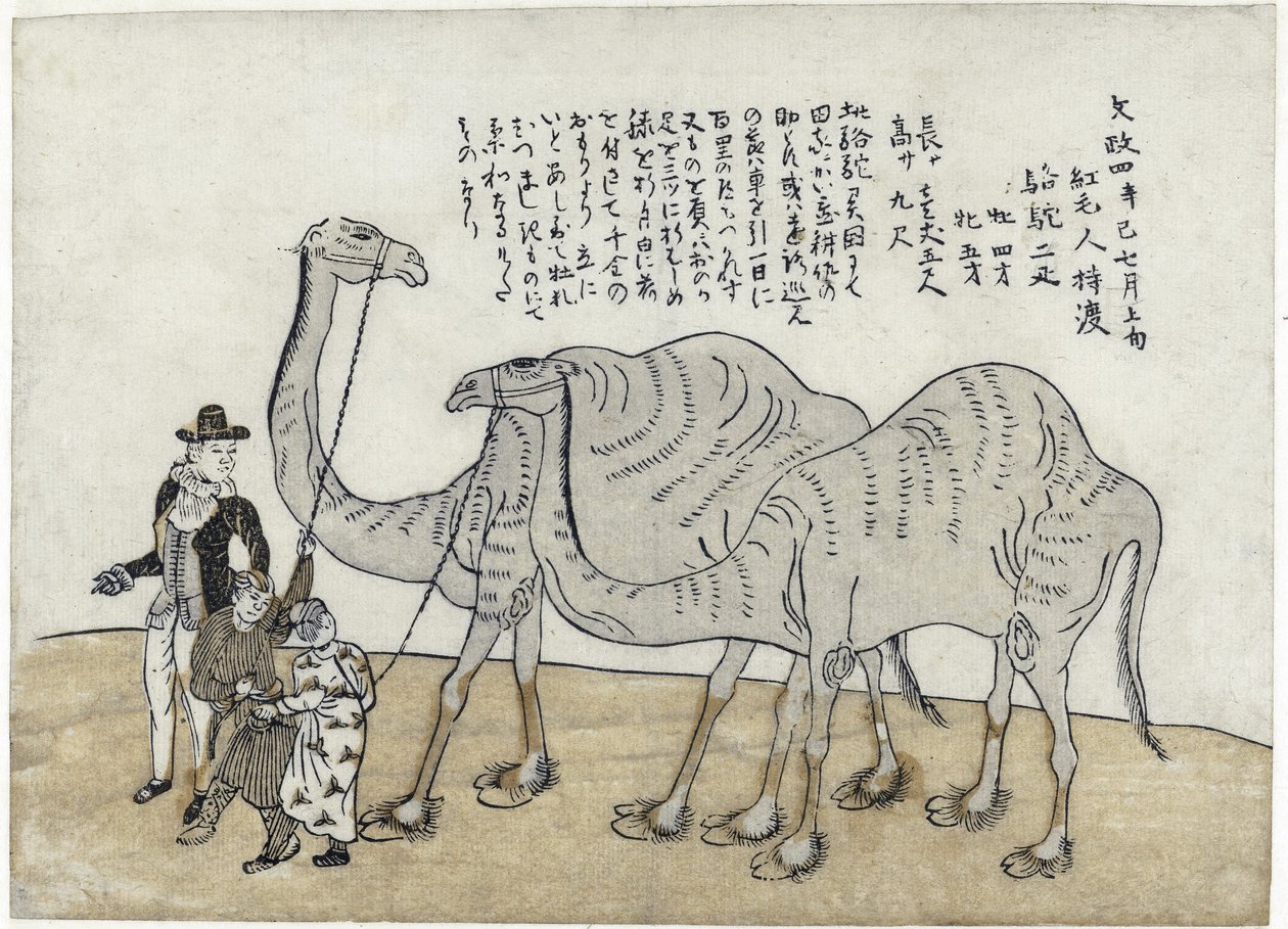 Kameli ohjaajineen, pubi. 1821 (värillinen puupiirros) tekijältä Japanese School