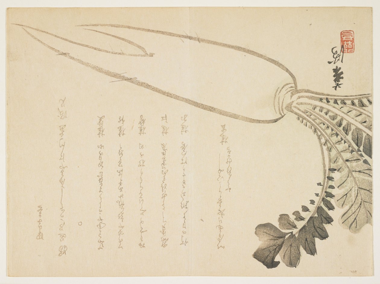 Daikon retiisi, tammikuu 1864 (värillinen puupainatus) tekijältä Japanese School