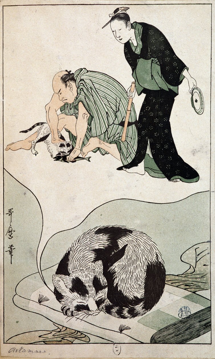 Dreaming Cat - Japani tekijältä Japanese School