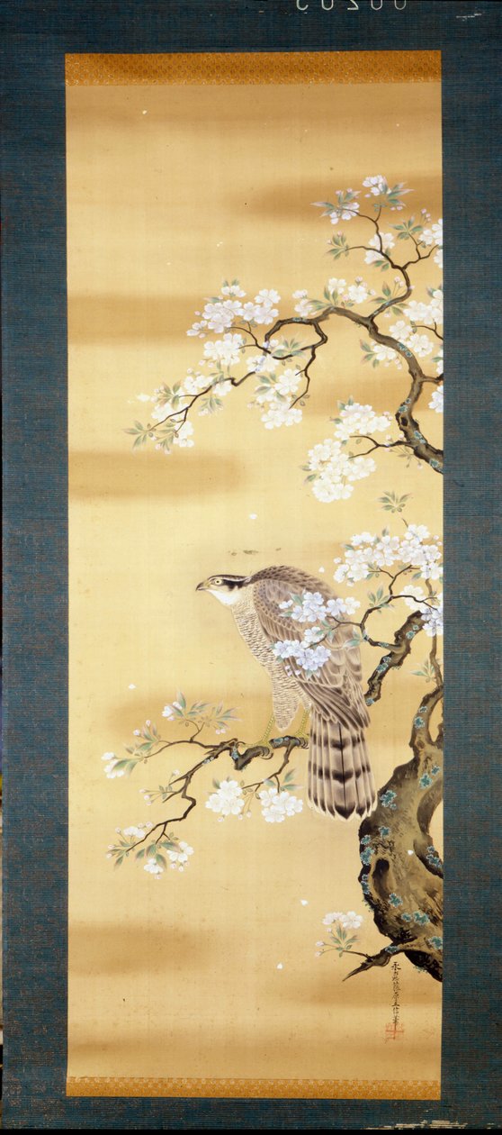 Haukka japanilaisen kirsikan oksalla kukkii. Silkkimaalausta 1700-luvulta Japanista. Genova. Museo Chiossone. tekijältä Japanese School