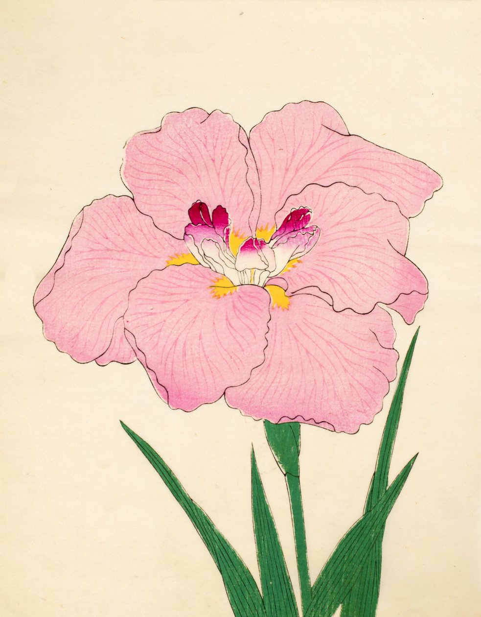 Gofukushoshu, nro 86, 1890 (värillinen puupalikkapainatus) tekijältä Japanese School