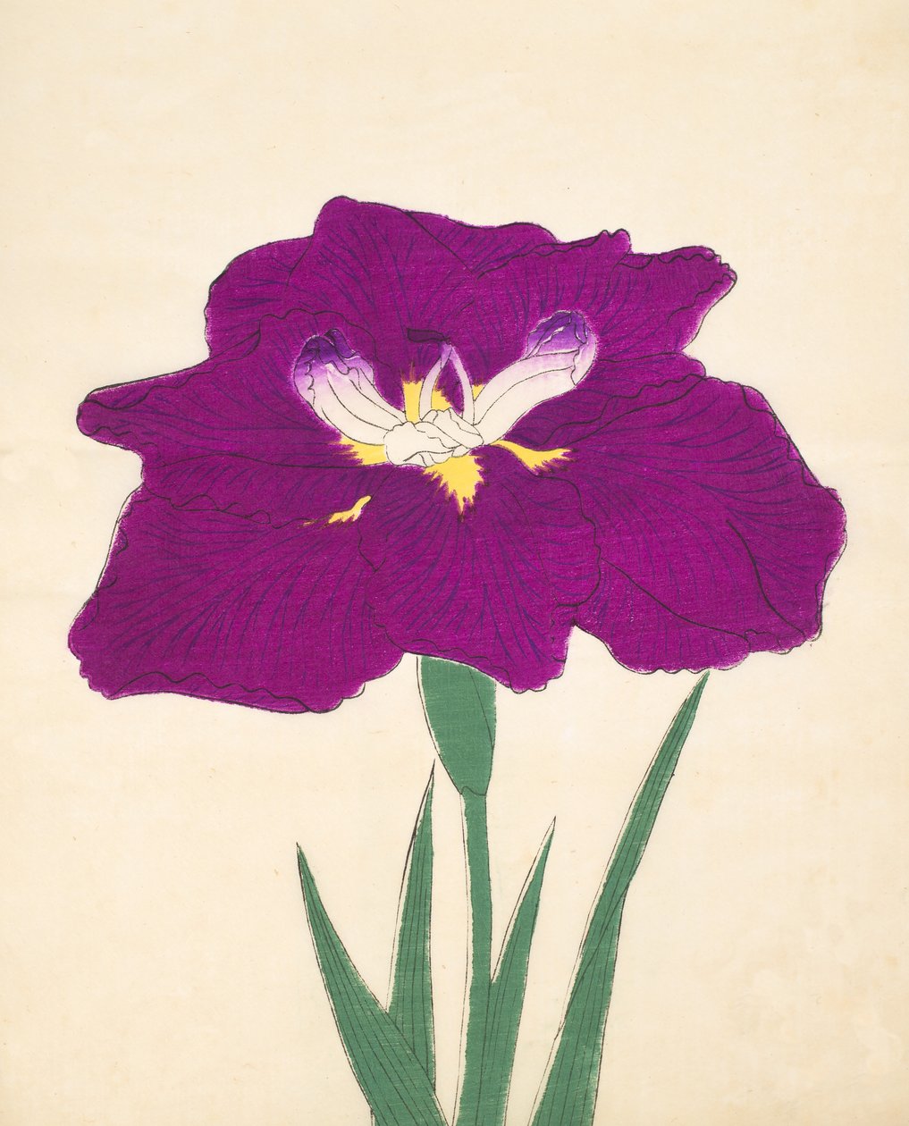 Hizumen. -Hyo. 29, 1898 tekijältä Japanese School