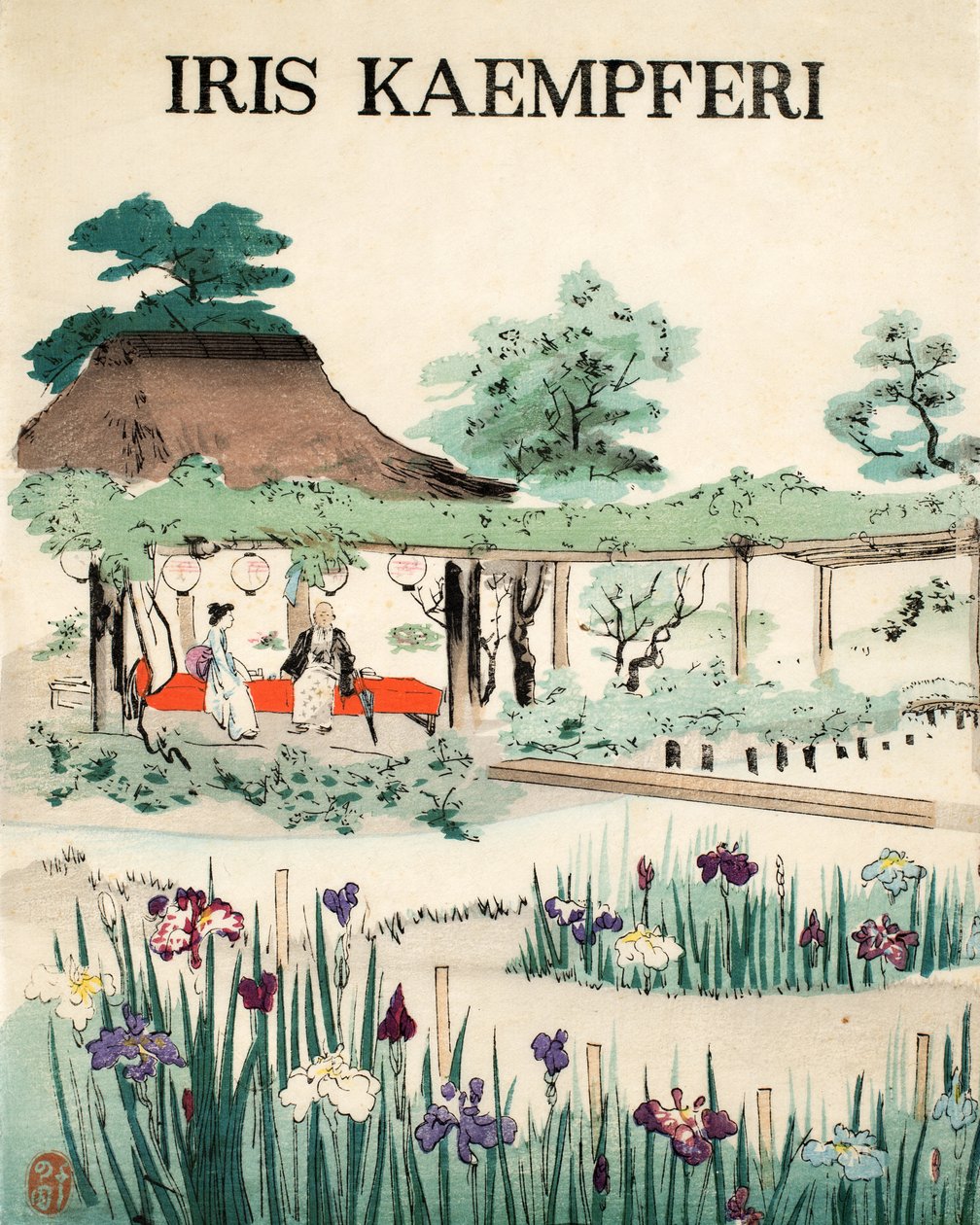 Iris Kaempferi - Etukansi, 1890 tekijältä Japanese School