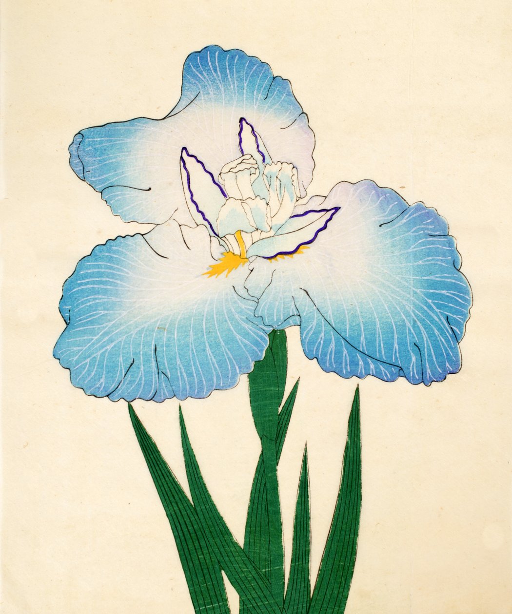 Irojiman, nro 80, 1890 (värillinen puupainatus) tekijältä Japanese School