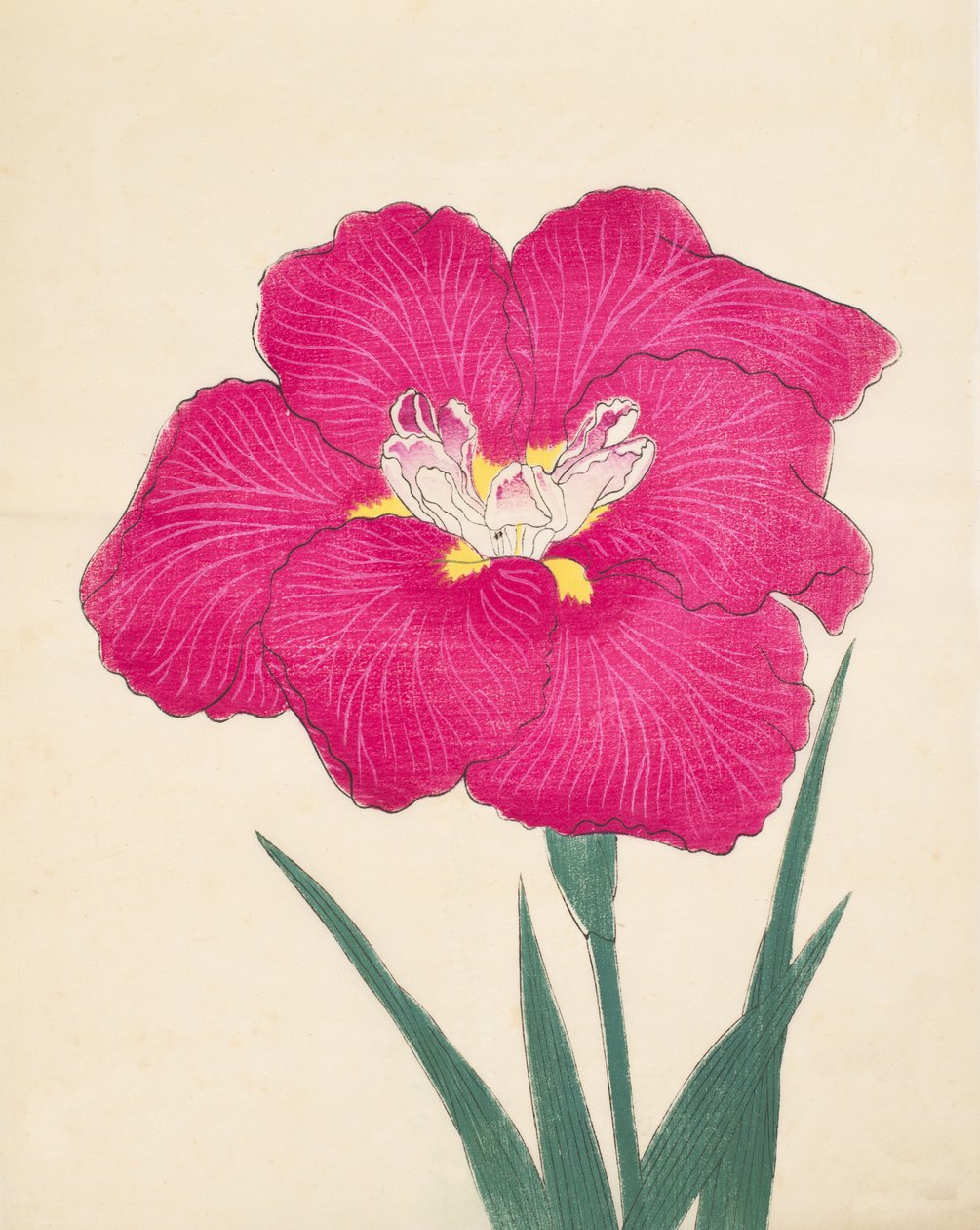 Kaga Leen päivä, 38, 1890 tekijältä Japanese School
