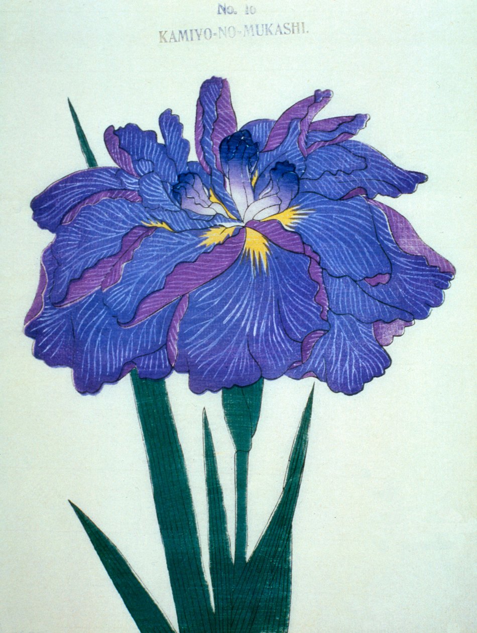 Nähdään. -Vanhat ajat. 16, 1898 tekijältä Japanese School