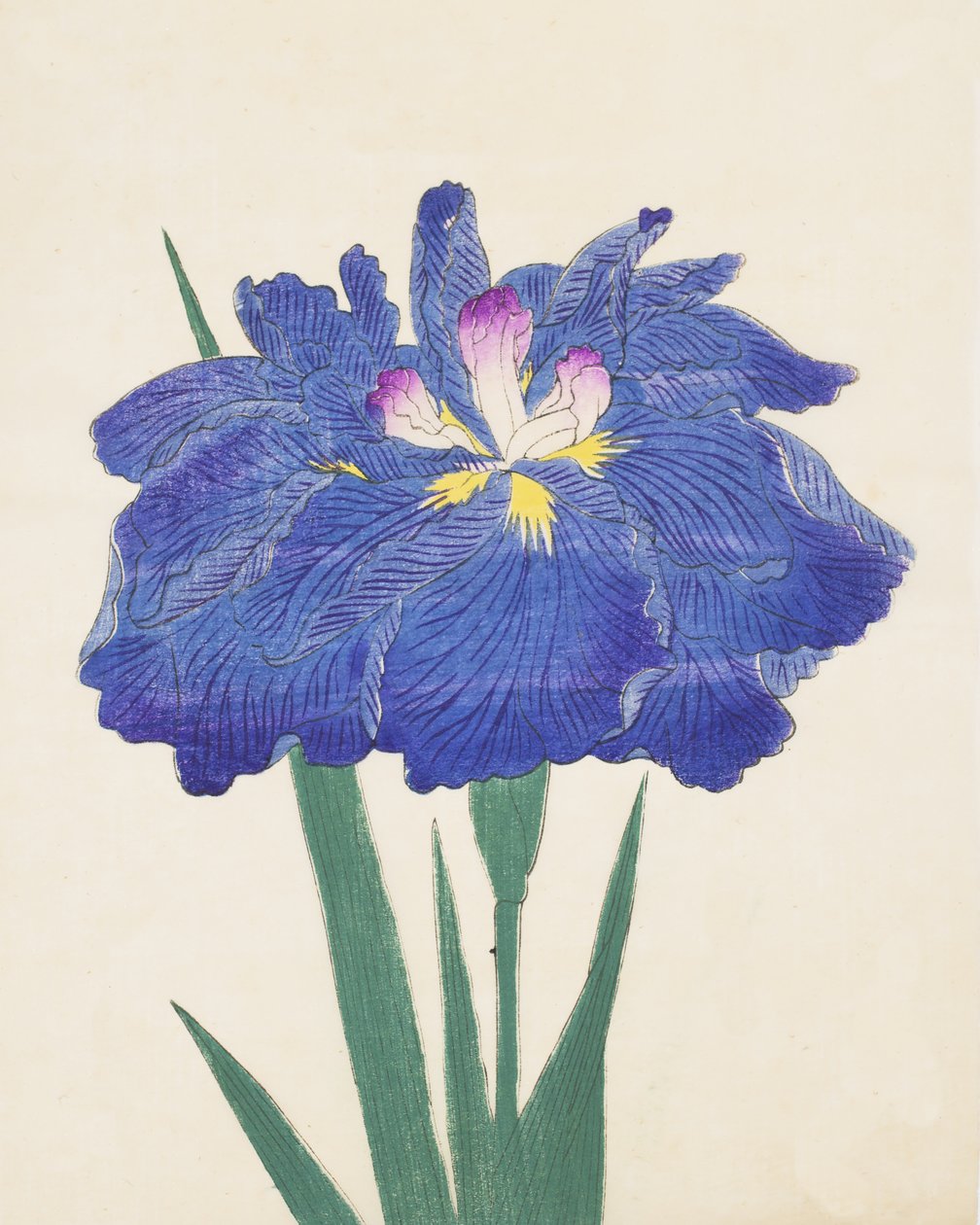 Karakon soittoa. 42, 1898 tekijältä Japanese School