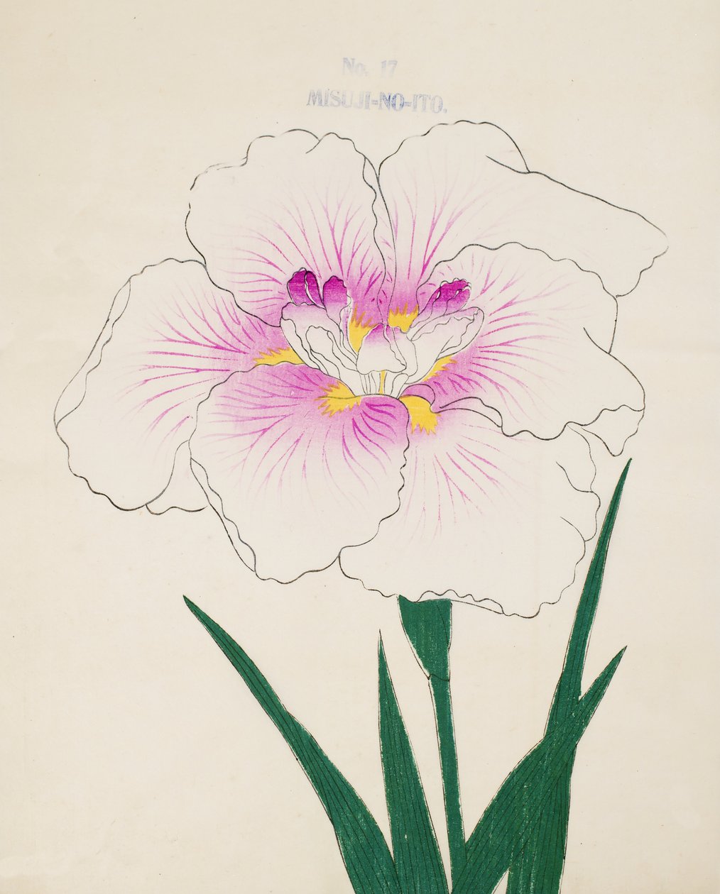 Neiti Gino. - Lanka. 17, 1898 tekijältä Japanese School
