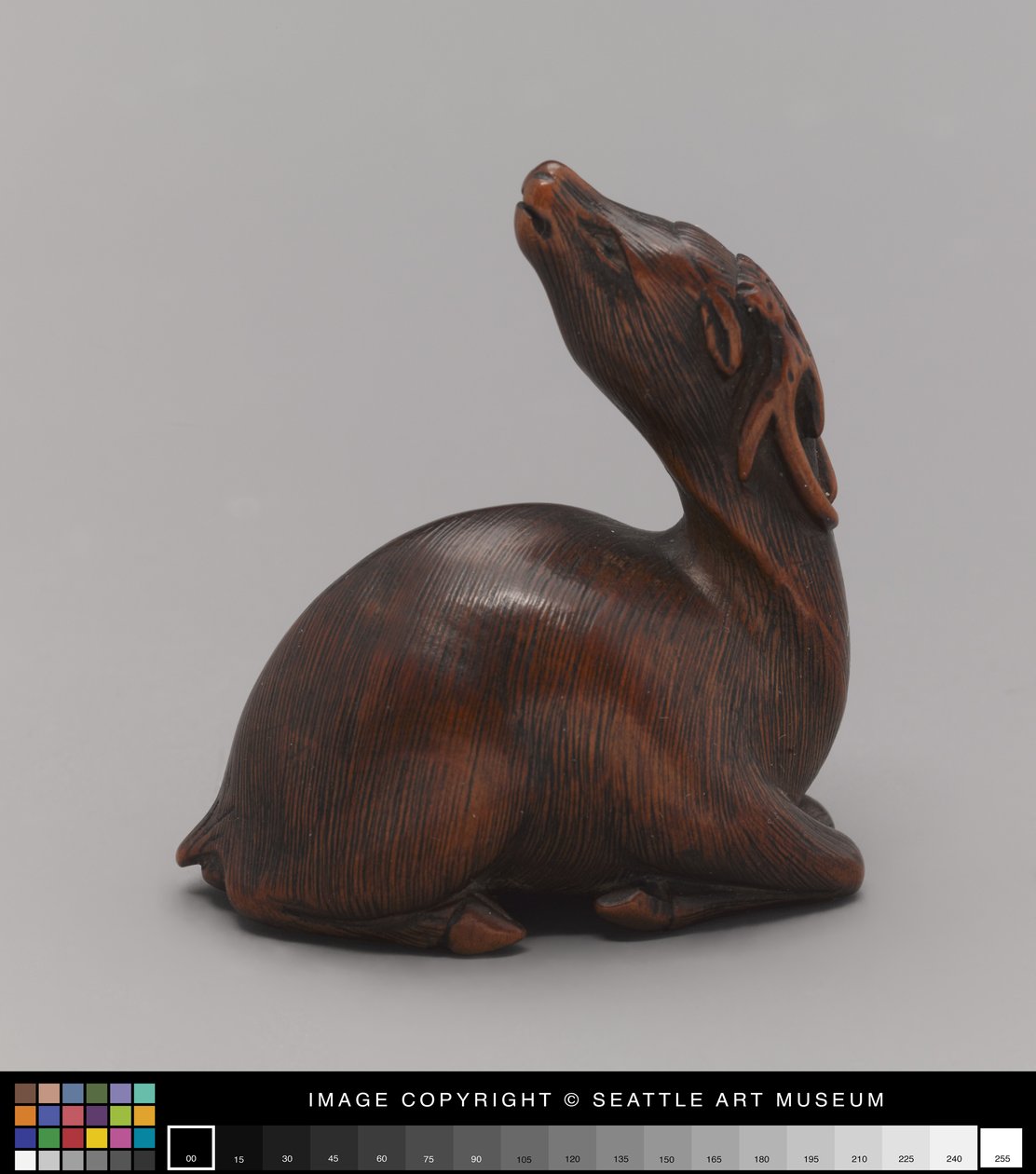 Netsuke mallinnettu peuraksi, 1800-luvun puoliväli (norsunluu) tekijältä Japanese School